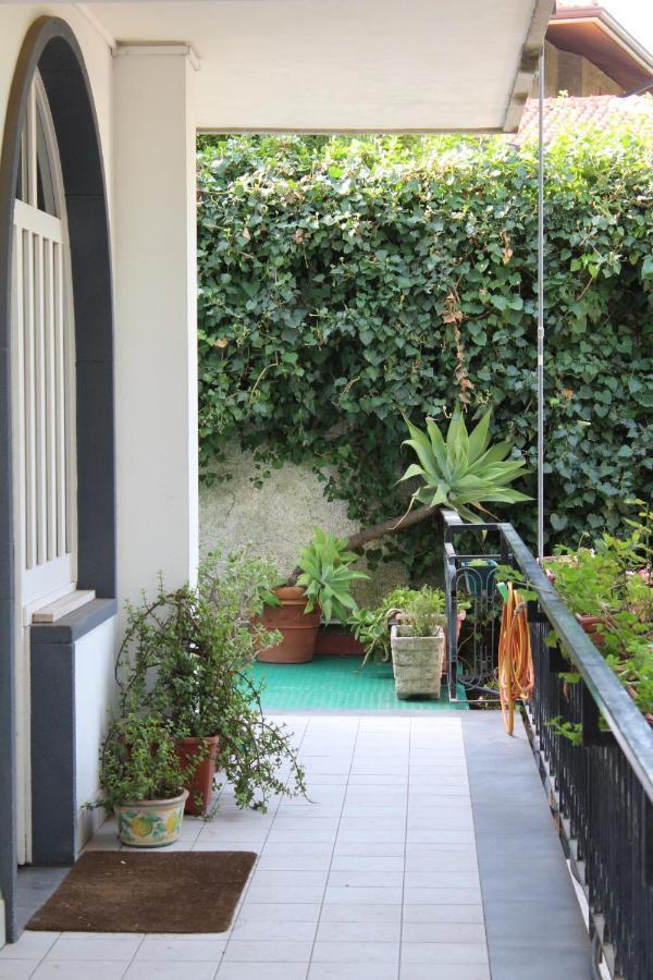 מאסקלוצ'יה Greenhouse מראה חיצוני תמונה