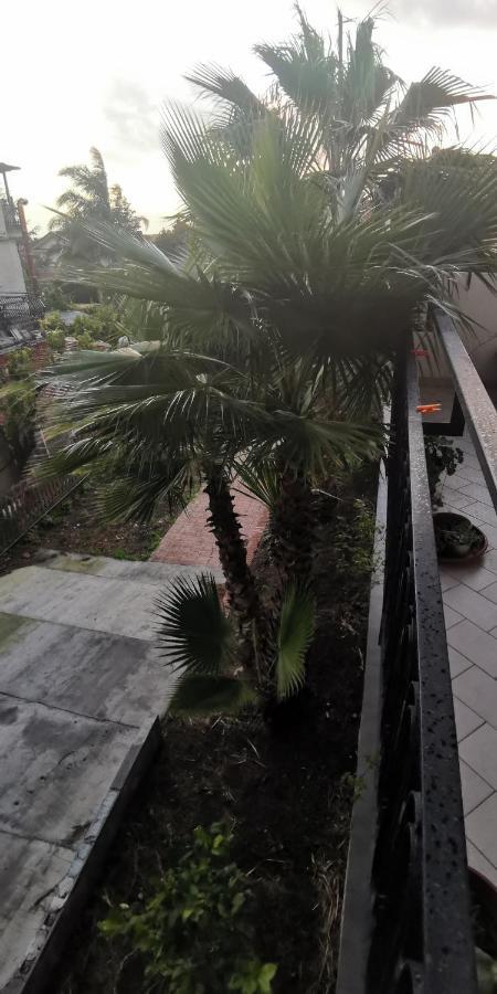 מאסקלוצ'יה Greenhouse מראה חיצוני תמונה
