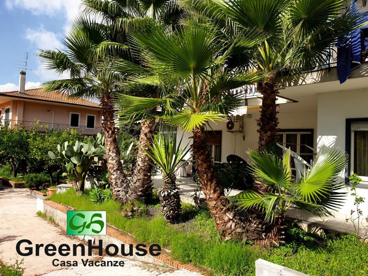 מאסקלוצ'יה Greenhouse מראה חיצוני תמונה